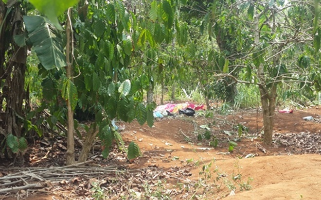 Tá hỏa phát hiện một nửa thi thể nam giới trong rẫy cà phê Ảnh 2