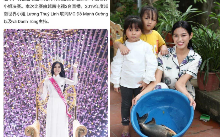 Nhan sắc Đỗ Thị Hà khiến khán giả ngây ngất, báo chí nước ngoài khen ngợi Ảnh 2