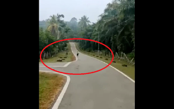 Đã lên sẵn đồng phục và cặp sách, bé trai vẫn bỏ chạy vì phải đi học trở lại Ảnh 2