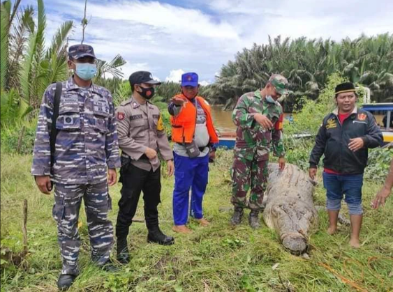 Hãi hùng cảnh rạch bụng cá sấu khổng lồ để lấy thi thể bé trai 8 tuổi Ảnh 6