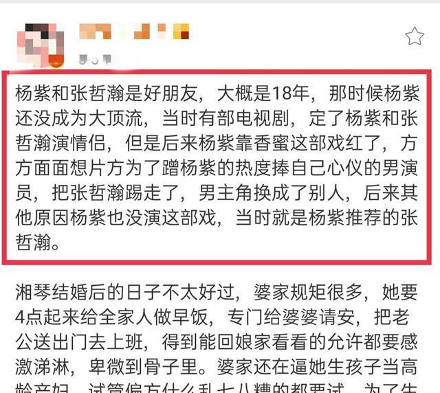 Trương Triết Hạn mất cơ hội đóng chung với Dương Tử chỉ vì quá nổi tiếng? Ảnh 4