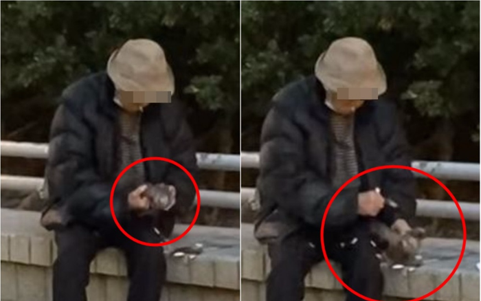 Nhổ lông chim bồ câu, cụ ông 94 tuổi bị bắt Ảnh 2