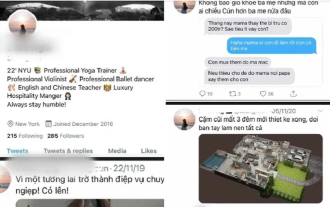 Gái Việt 'giả rich kid' sang chảnh suýt lừa chàng trai Ấn Độ: Tiêu mỗi tháng 200 triệu, tự thiết kế nhà ở Ảnh 2