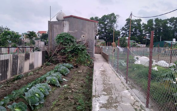 Vụ sát hại vợ con vào ngày 8/3 tại Hà Nội: Chiều hôm trước chồng còn chở vợ đi mua hoa Ảnh 2