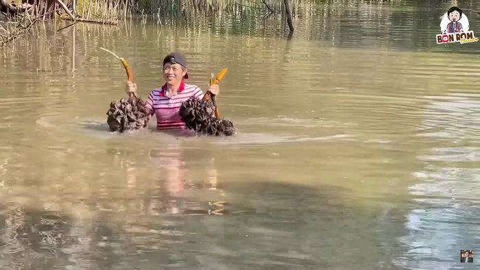 'Đây là dừa nước nha quý vị, em hái được ba buồng'