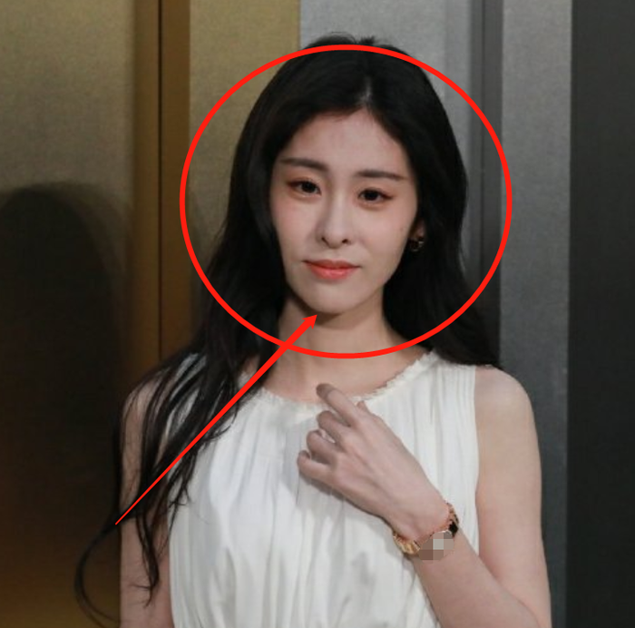 Triệu Lệ Dĩnh 'đọ sắc' với 'mẹ một con' Trương Bích Thần và dàn sao nữ xinh đẹp của showbiz Ảnh 11