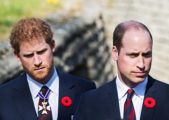 Hoàng tử William và Harry đã không nói chuyện với nhau suốt nhiều tháng Ảnh 2