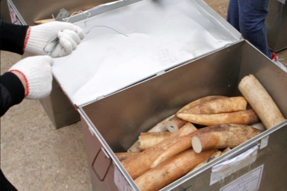 Thịt thú rừng: Hiểm hoạ tiềm tàng khủng khiếp hơn cả COVID-19 Ảnh 9