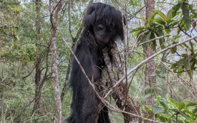 Thịt thú rừng: Hiểm hoạ tiềm tàng khủng khiếp hơn cả COVID-19 Ảnh 2