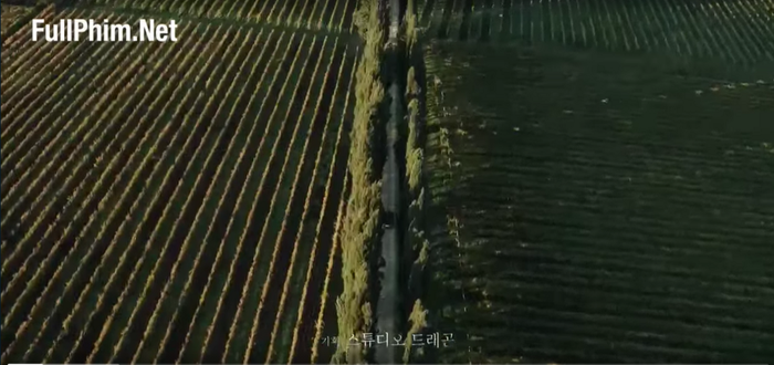 'Vincenzo': 'Bí mật động trời', giữa đại dịch làm sao để Song Joong Ki 'tàng hình' ở thành Rome hoa lệ? Ảnh 4