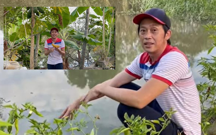 Nghệ sĩ Hoài Linh review từng cây ở vườn nhà thờ Tổ, trong đó có cây lên đến 7 tỷ đồng Ảnh 2