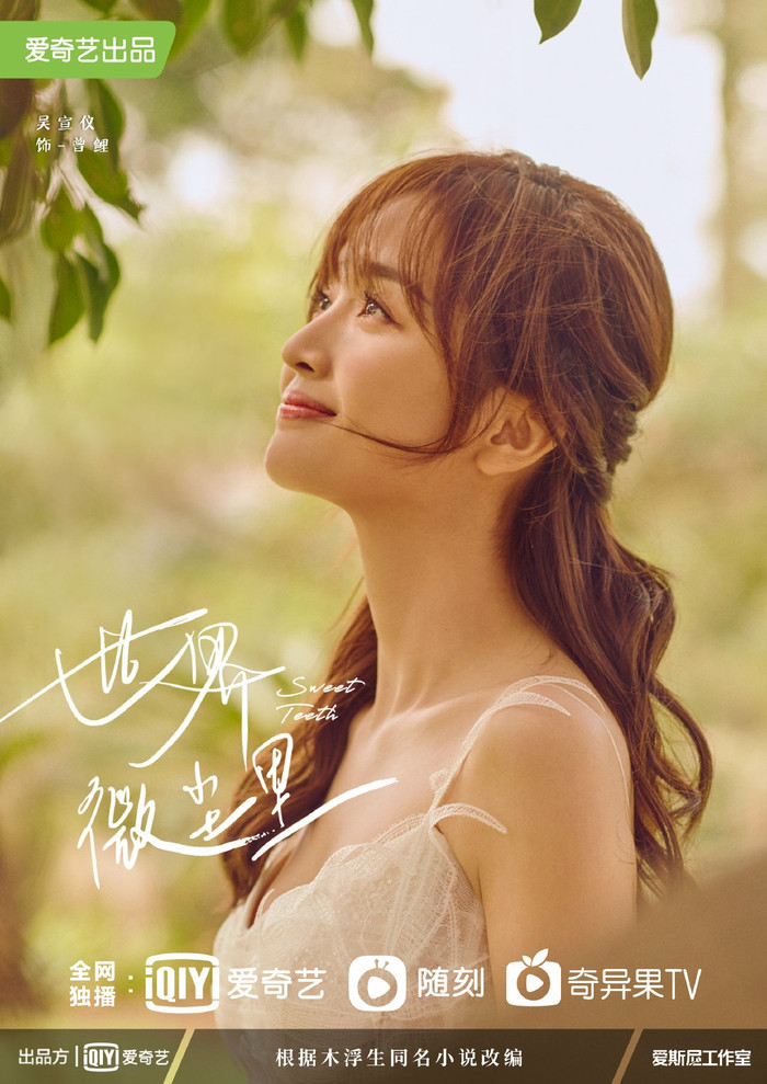 'Cũng chỉ là hạt bụi' của Ngô Tuyên Nghi và Tất Văn Quân ra poster mới: Quá trẻ con so với nguyên tác? Ảnh 4