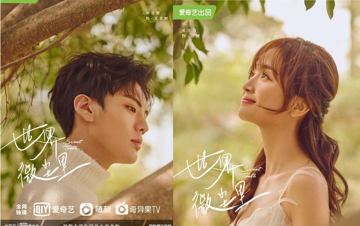 'Cũng chỉ là hạt bụi' của Ngô Tuyên Nghi và Tất Văn Quân ra poster mới: Quá trẻ con so với nguyên tác? Ảnh 2