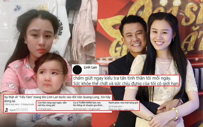 Linh Lan bức xúc vì bị Youtuber chà đạp nhân phẩm: Hãm hại mẹ góa con côi là quá tàn nhẫn? Ảnh 2