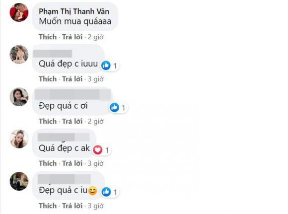 Bình luận của dân mạng dưới bài đăng Hằng ''Túi''