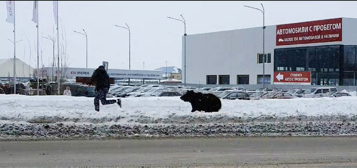 Gấu rượt đuổi người đàn ông giữa phố ở Nga