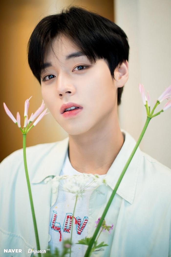 Park Ji Hoon sẽ xuất hiện với tư cách là người dẫn chương trình đặc biệt trên Show! Music Core Ảnh 1