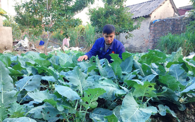 Hiện tượng mạng Lệ Rơi sau 7 năm nổi tiếng: Rời bỏ sự hào nhoáng trở về cuộc sống ao vườn Ảnh 2