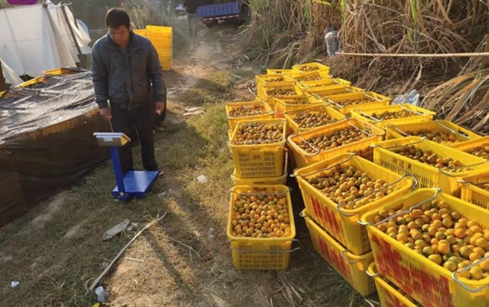 Bố dành dụm tiền tiết kiệm cả đời, con lén lút tiêu sạch vào một việc không thể tha thứ Ảnh 2