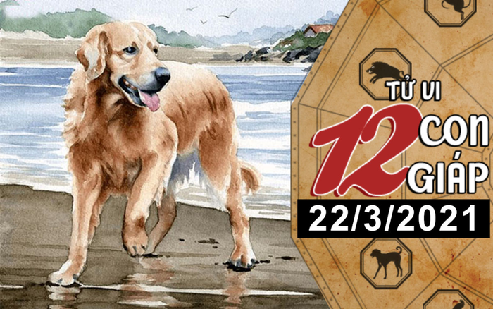 Tử vi thứ 2 ngày 22/3/2021 của 12 con giáp: Mùi dễ bị cấp trên khiển trách, Tuất túi tiền rủng rỉnh Ảnh 2