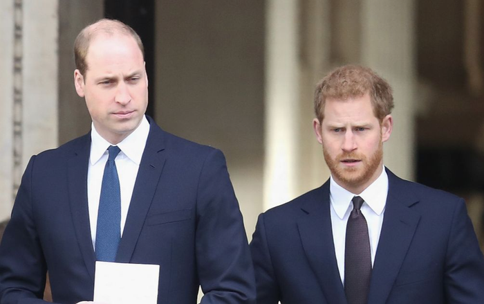 Trước lúc rời hoàng gia, Harry đã trải qua những thăng trầm nào cùng anh trai William? Ảnh 2
