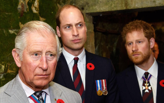 William và Harry luôn có 'mối quan hệ phức tạp' với Thái tử Charles Ảnh 2