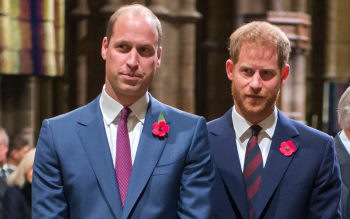 Hoàng tử William không bị 'mắc kẹt' trong cuộc sống Hoàng gia như Harry nói Ảnh 2