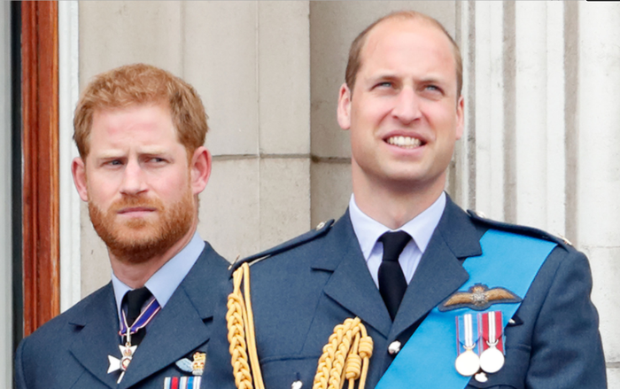 Hoàng tử William và Harry 'đã có thể thân thiết hơn thế' Ảnh 2