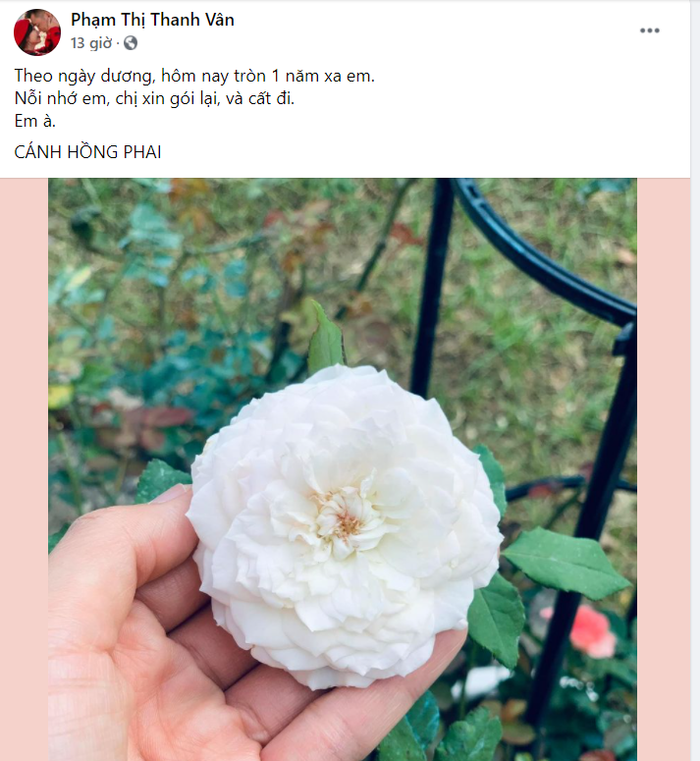 Ốc Thanh Vân bồi hồi chia sẻ trên trang cá nhân