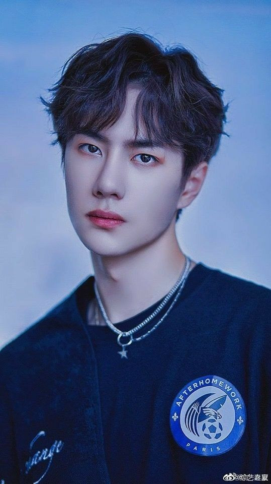 Vương Nhất Bác muốn làm điều này sau khi giải nghệ, khiến fans cảm thấy hơi...phi thực tế Ảnh 4