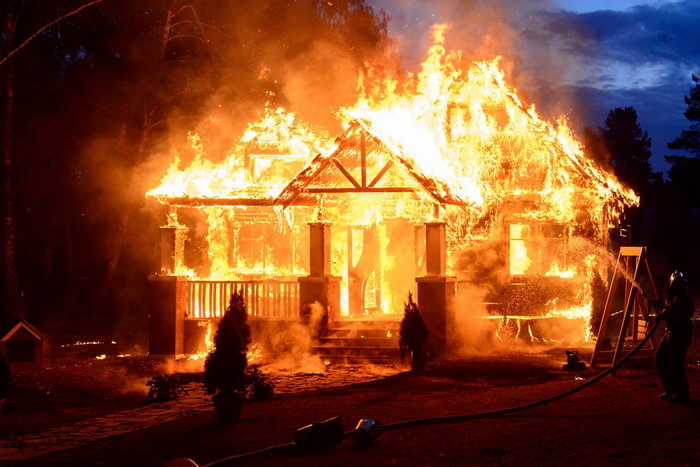 (Ảnh minh hoạ: Shutterstock)