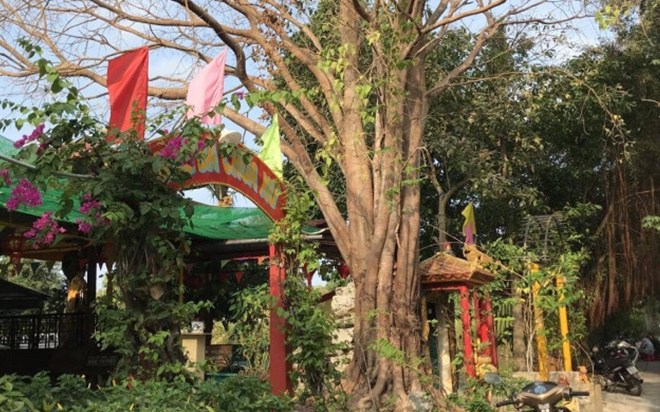 Người phụ nữ rủ bạn đi đánh ghen, lấy nhẫn vàng của 'tình địch' Ảnh 2