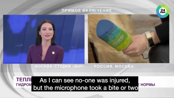 Clip: Chó cướp mic của phóng viên và chạy thẳng Ảnh 5