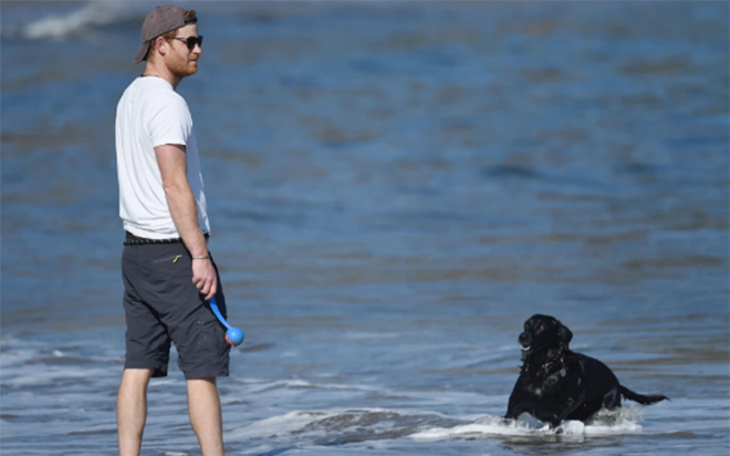 Hậu lùm xùm với hoàng gia, Harry thảnh thơi nhận ghế giám đốc và tận hưởng cuộc sống mới Ảnh 2