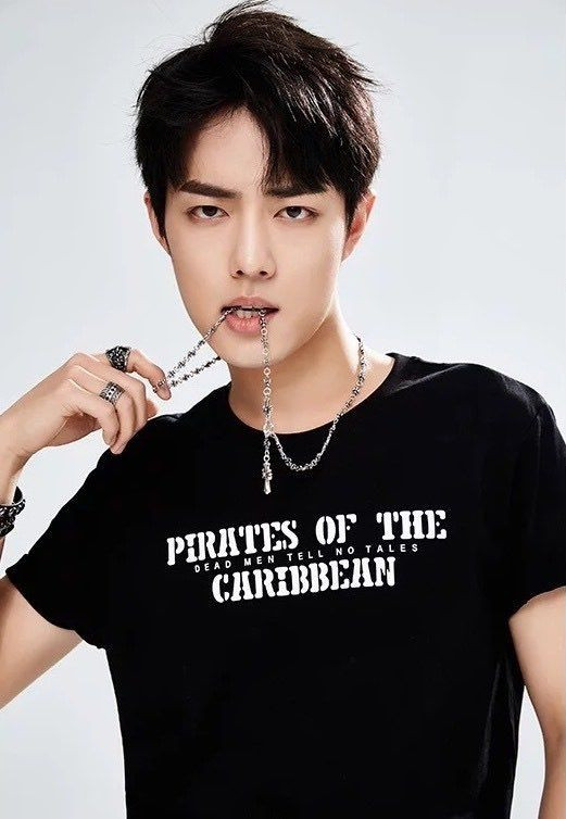 Ngoài ngoại hình xuất chúng, Tiêu Chiến có ưu điểm gì khiến fan mê mệt? Ảnh 4