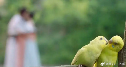 'Trường ca hành': Nụ hôn chú vẹt của Địch Lệ Nhiệt Ba và Ngô Lỗi lên hot search Ảnh 5