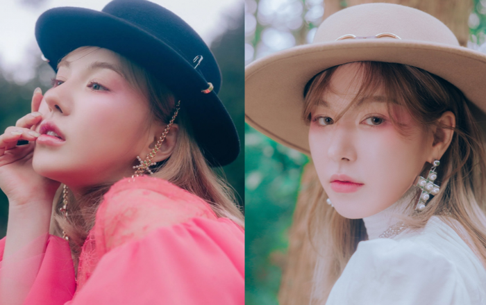 Fan Red Velvet 'phát điên' vì loạt bình luận chê bai nhan sắc của Wendy Ảnh 2