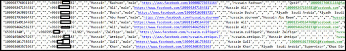 Một phần danh sách người dùng Facebook trong vụ rò rỉ dữ liệu lần này.