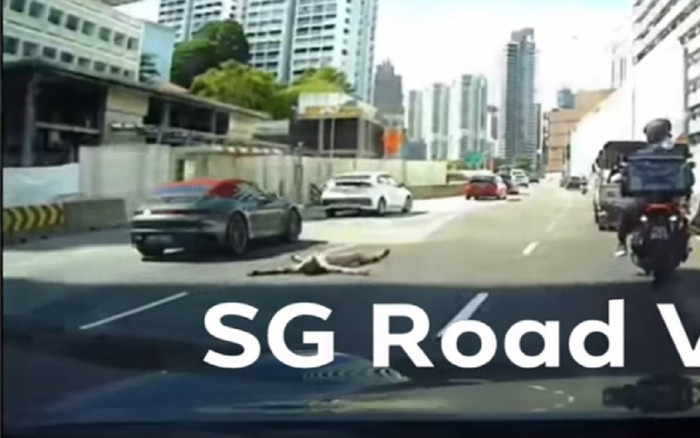 Người đàn ông bị bắt giữ vì khỏa thân nằm giữa đường để... tắm nắng Ảnh 2