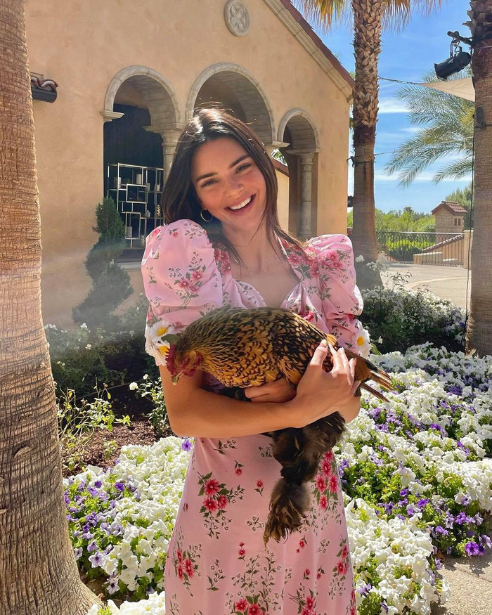 Lâu lắm rồi dân tình mới thấy Kendall Jenner 'bánh bèo' như này 