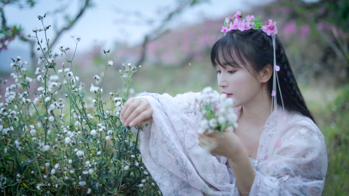 (Ảnh: Liziqi / YouTube)