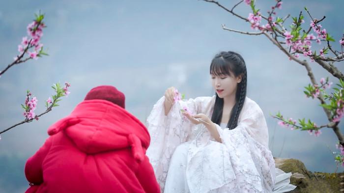(Ảnh: Liziqi / YouTube)
