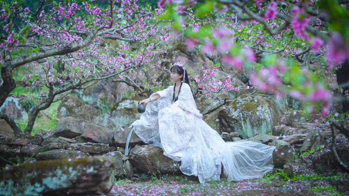 (Ảnh: Liziqi / YouTube)