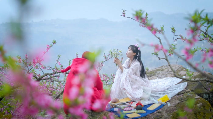 (Ảnh: Liziqi / YouTube)