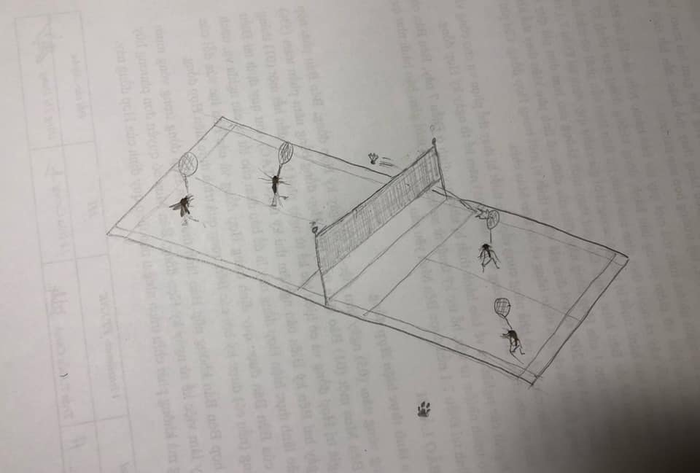 Qua cái nhìn của giới học trò, loài muỗi vốn đáng ghét nay lại trở nên sinh động thế này đây! Ảnh 3