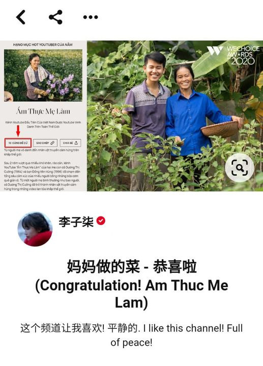 Kênh 'Ẩm thực mẹ làm' được 'tiên nữ đồng quê' Lý Tử Thất đăng bài khen ngợi trên trang cá nhân Pinterest. (Ảnh chụp màn hình)