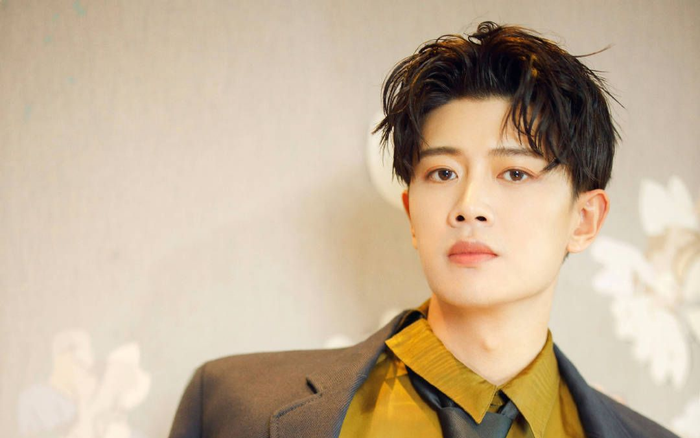 Nhậm Gia Luân tung album đầu tay: Vừa lấn sân sang âm nhạc đã bị mắng không thương tiếc Ảnh 2