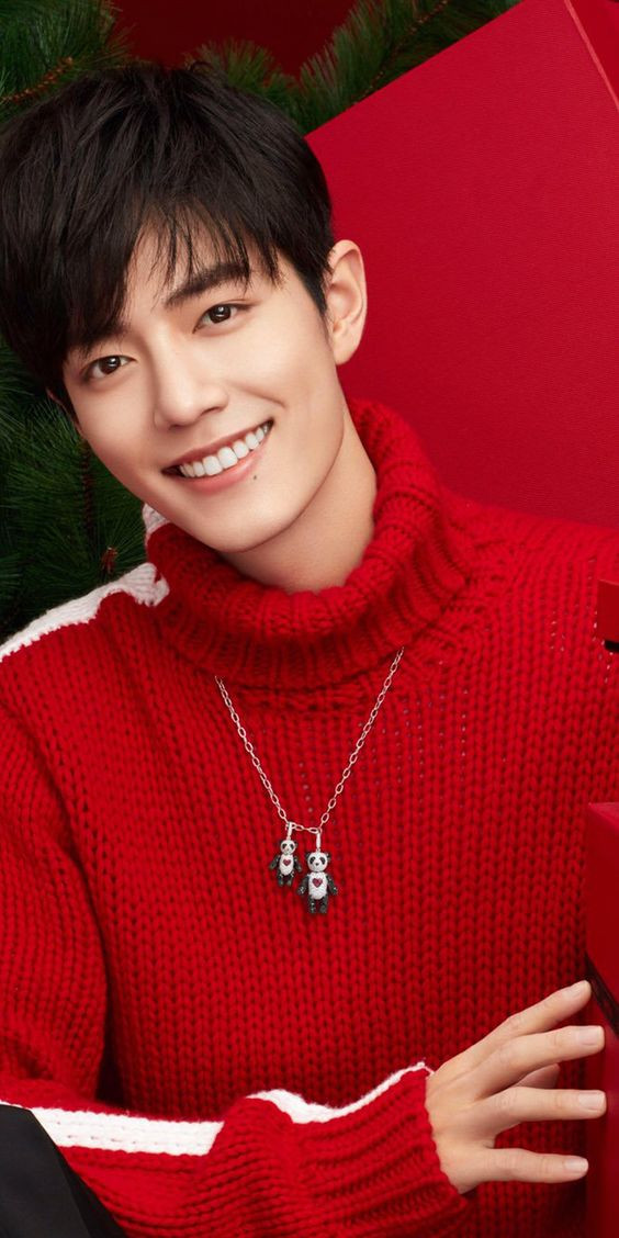 Vì sao Tiêu Chiến - Vương Nhất Bác nên hoạt động solo thay vì hợp tác sau thành công của Trần tình lệnh? Ảnh 9