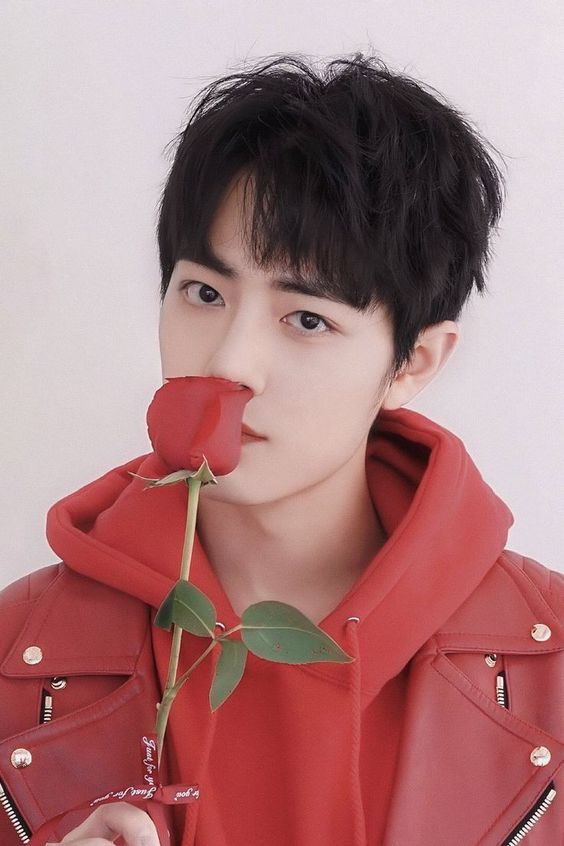 Vì sao Tiêu Chiến - Vương Nhất Bác nên hoạt động solo thay vì hợp tác sau thành công của Trần tình lệnh? Ảnh 7