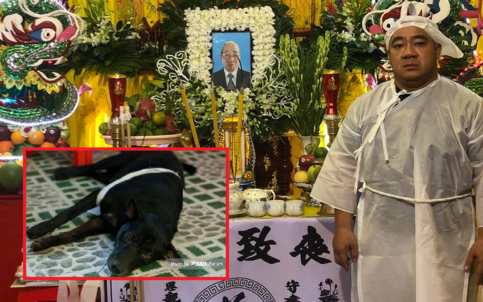 Xúc động chú chó mắt 'rưng rưng' lệ, nằm trước linh cữu trong đám tang bố Hiếu Hiền Ảnh 2